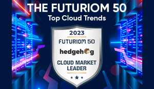 Hedgehog named cloud market leader in the 2023 Futuriom 50